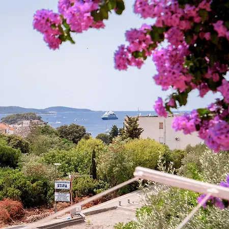 Kai - Zf Hvar Hvar Town